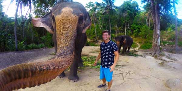 Gajah Pintar dari Koh Phangan